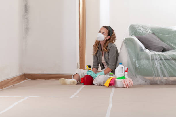 Reliable Bathroom Mold Removal contractor in Jessup, PA by WQB Mold Removal